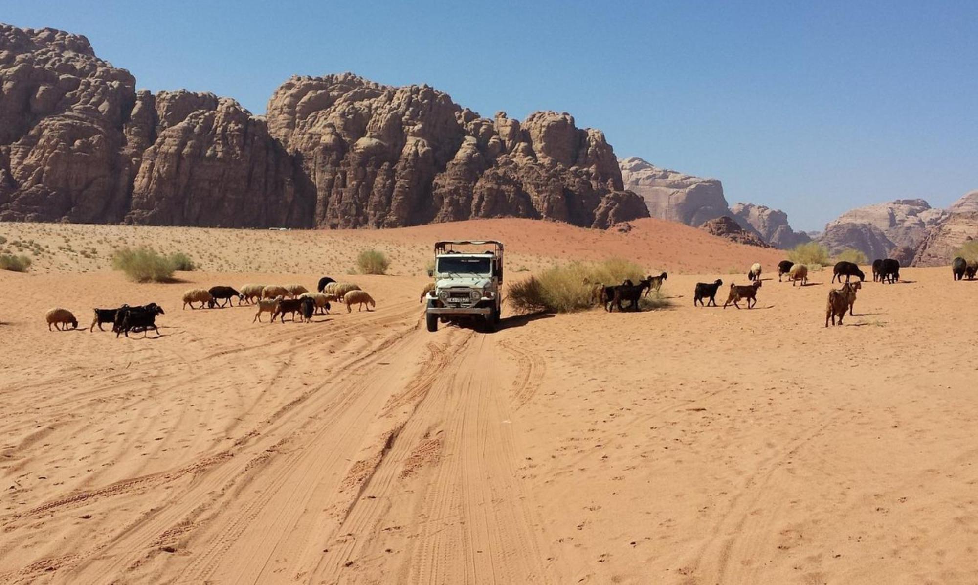 Authentic Bedouin Camp Wadi Rum Luaran gambar